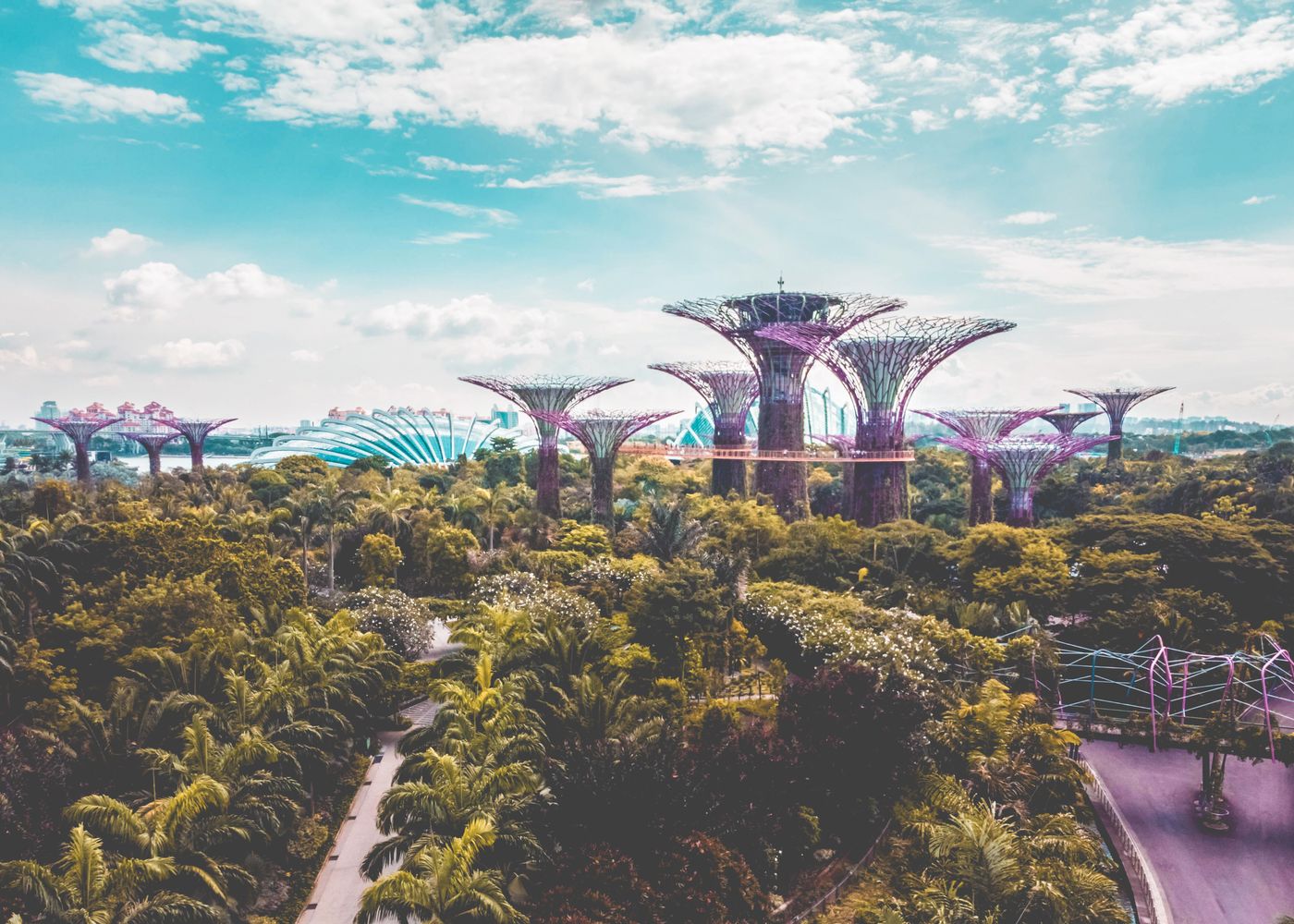 Gardens by the Bay - Singapore