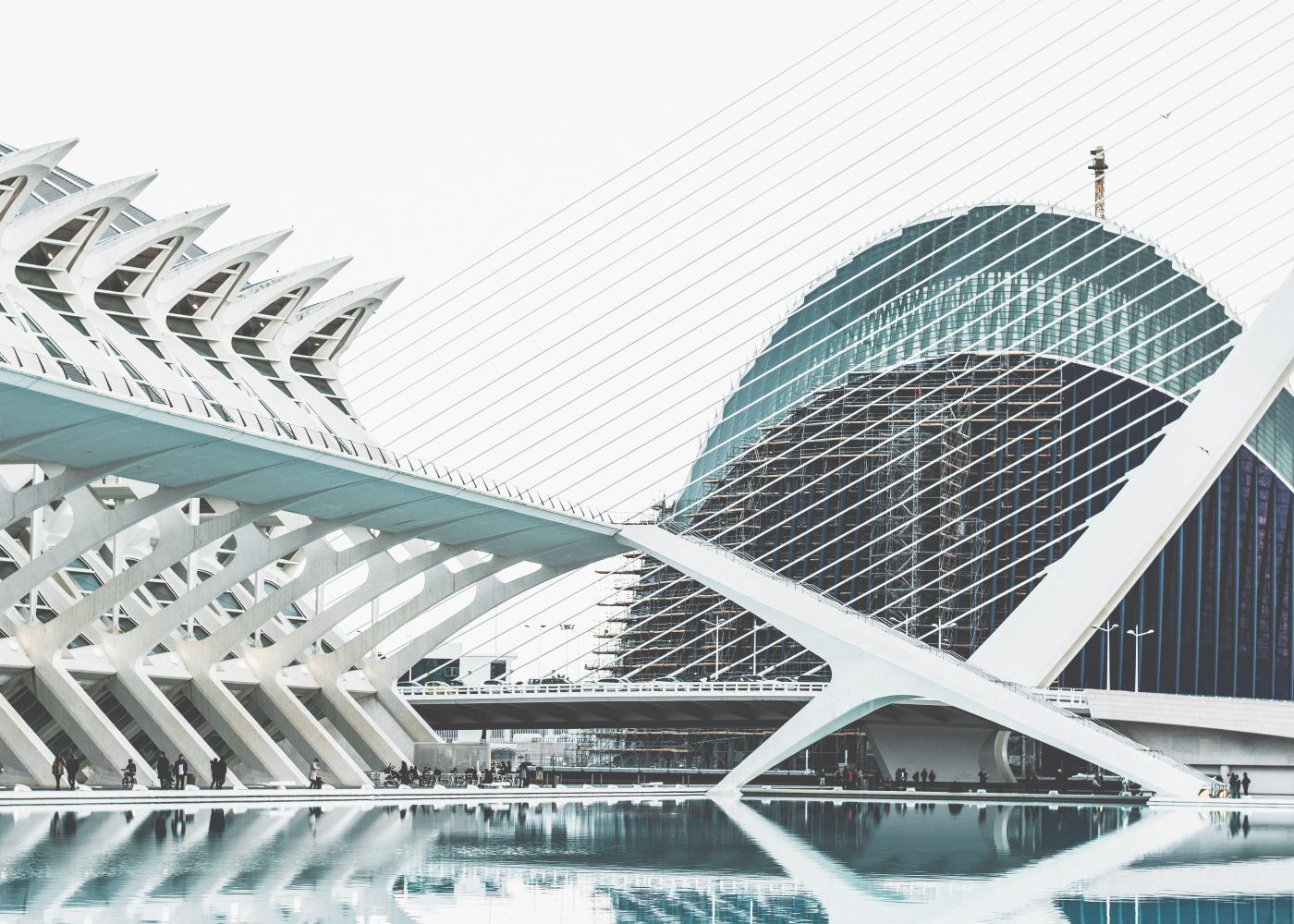 The City of Arts and Science  - Valencia